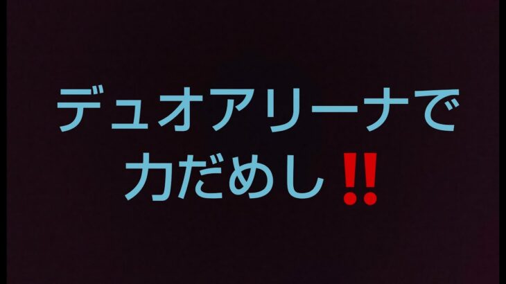 デュオアリーナで力だめし‼️【フォートナイト/Fortnite】【スイッチ/Switch】【初心者】