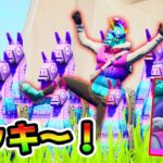 逃げ出したラマを捕まえろ！【フォートナイト】