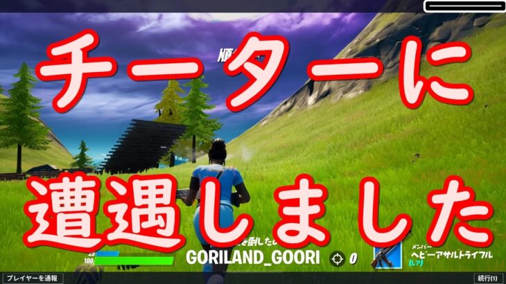 【フォートナイト 初心者からプロへの道】チーターに遭遇したのでボコしときました。なんで負けたか考えといてください。