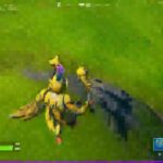 「FORTNITE」フォートナイト　デュオ