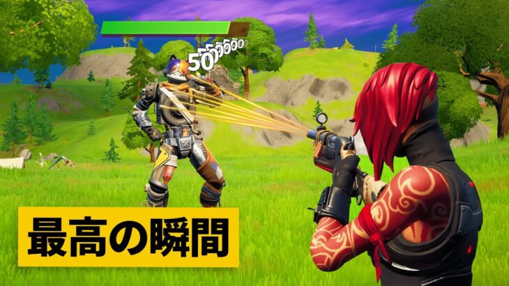 【最高の瞬間50選】あの、白で100以上入ってるんですけど…？神業面白プレイ集！【Fortnite/フォートナイト】