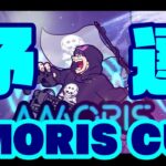 フォートナイトライブ　AMORIS CUP予選　参加OK　賞品付き　ソロアリーナ　【禁止】ゴースティング・チーミング・煽り行為・死体撃ち・匿名