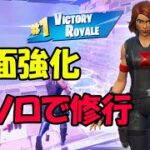 【フォートナイト】ソロで修行！ビクロイ取るまで終われまてん！【FORTNITE】