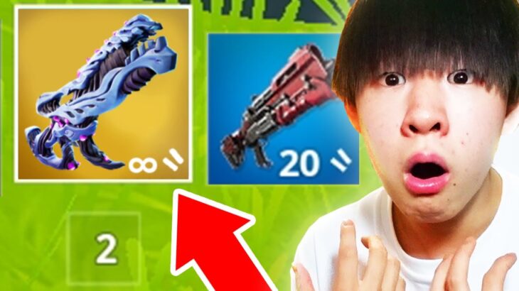 なにこの武器…【フォートナイト / Fortnite】