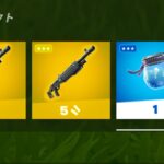 ダブルポンプ使わないの？【フォートナイト / Fortnite】