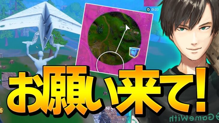 ソロアジア最強をかけた大会最終試合で「パワー全開ネフライト」が大暴れ!!【フォートナイト/Fortnite】