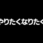 この建築をする人とデュオするとつらい【フォートナイト/Fortnite】