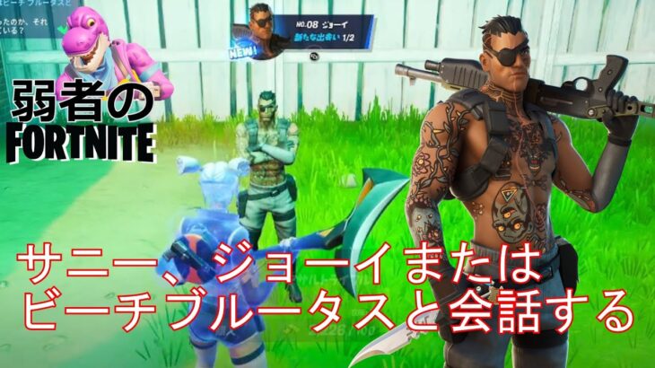 【クエスト攻略】サニー、ジョーイまたはビーチブルータスと会話する【フォートナイト/Fortnite】