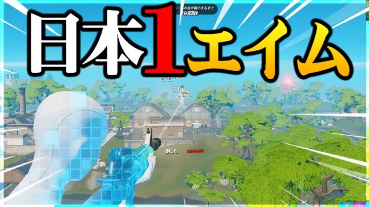 エイム日本１位になりました【フォートナイト/Fortnite】