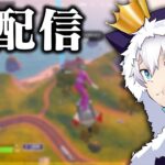 フォトナ復帰4日目 w/そぅくん 【ゲーム配信】