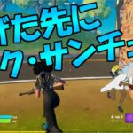 逃げた先にリック・サンチェス 通常ソロ #41【フォートナイト/Fortnite】