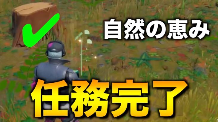 シーズン７ウィーク６エピッククエスト攻略！ジャックボーンのゲーム実況！【フォートナイト/FORTNITE】