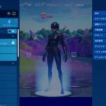 【Fortnite】ソロ【フォートナイト】