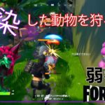 【クエスト攻略】感染した動物を狩る【フォートナイト/Fortnite】