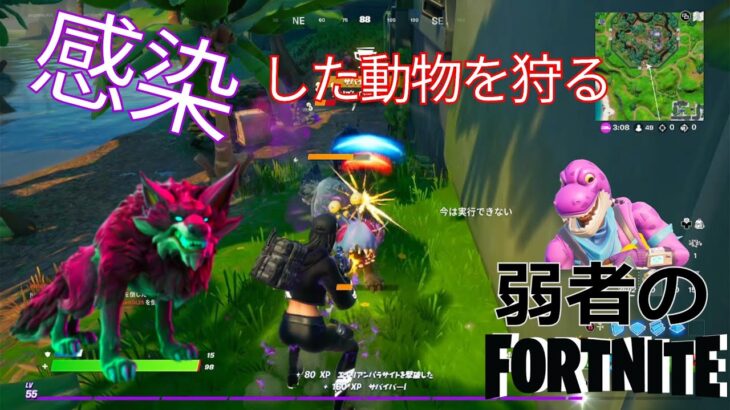 【クエスト攻略】感染した動物を狩る【フォートナイト/Fortnite】