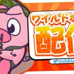 【フォートナイト】ソロキャッシュカップ頑張るぞ～！！！