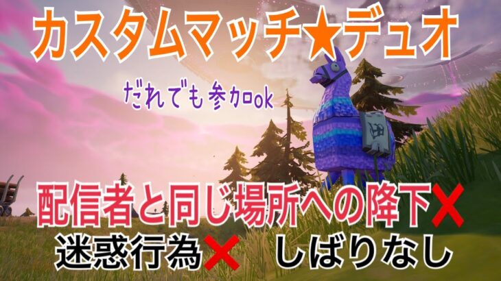 【カスタム デュオ】だれでも参加OKです!『フォートナイト』降下場所だけは配信者と被らないようにお願いします！その他縛りなし(迷惑行為は禁止)