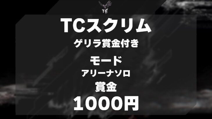 ゲリラ賞金付き　アリーナソロ　カスタム　500円×2試合【フォートナイト/Fortnite】