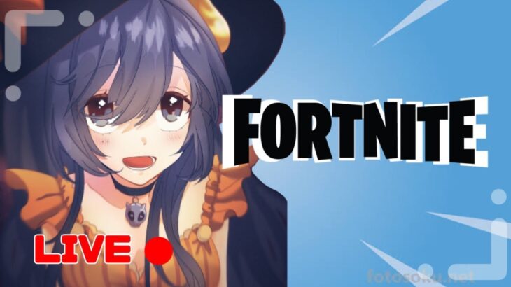 何十万年ぶりのソロ【フォートナイト/FORTNITE】