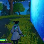 【フォートナイト／Fortnite】青色キューブから　ソロ デュオ