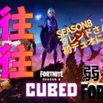 【デュオ】フレンドさんに申し訳ない右往左往【フォートナイト/Fortnite】