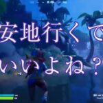 【フォートナイト/Fortnite】雑談diary #202(デュオ)「安地行くでいいよね？」