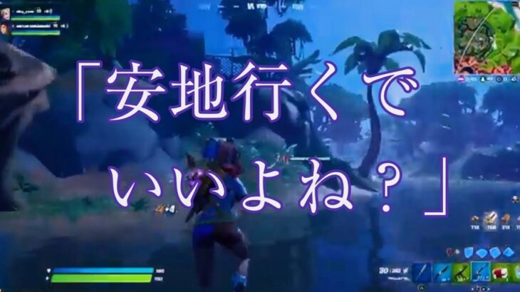 【フォートナイト/Fortnite】雑談diary #202(デュオ)「安地行くでいいよね？」