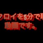 フォートナイト【ソロ】暇な人は見てください！【ビクロイ】