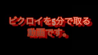 フォートナイト【ソロ】暇な人は見てください！【ビクロイ】