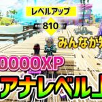 【最速レベル上げ】1日で3000000XP!アリアナを使ったチート級な方法紹介【  フォートナイト Fortnite バグ  シーズン8 ギフト企画】