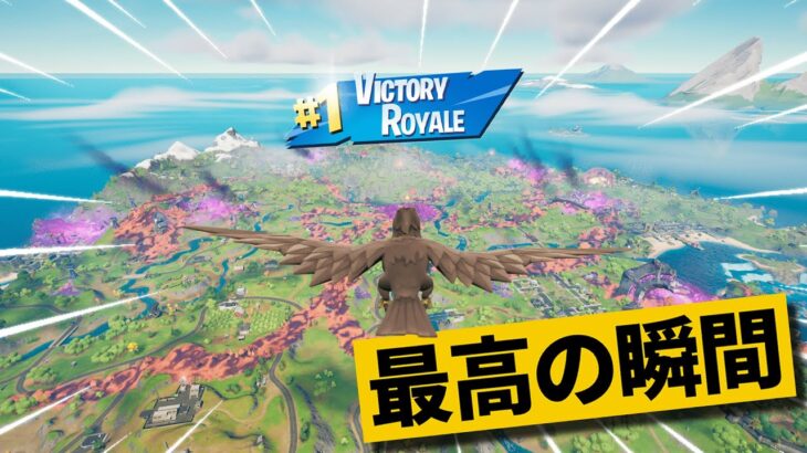 【最高の瞬間40選】最後の敵がカラスなんだけどｗ神業面白プレイ最高の瞬間！【Fortnite/フォートナイト】