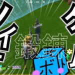 【レイトゲーム】朝の鍛錬【フォートナイト/Fortnite】レイトゲームソロハイライト