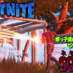 ≪Fortnite / フォートナイト≫  Duo Squad Pさんとさんざやられて甥っ子達来たら一発でビクロイ！ #1 Victory Royale