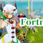 【VTuber】魔王きゅうのソロor野良スク！【フォートナイト/Fortnite】