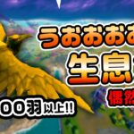 【100羽以上いる！】偶然発見カラスが最初に降りる場所！ほか 新要素イロイロ検証動画 第533弾【フォートナイト/Fortnite】