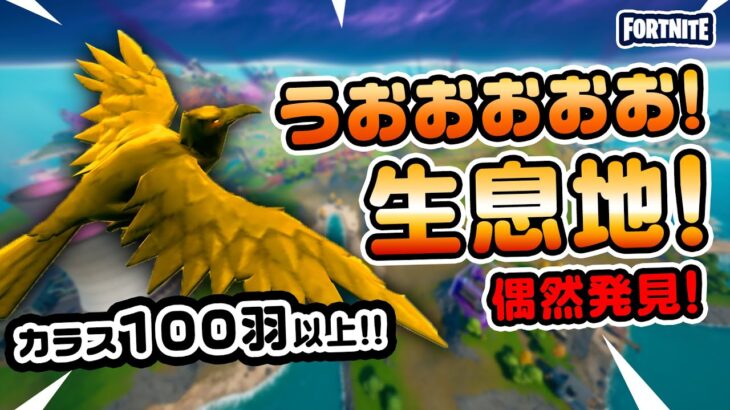 【100羽以上いる！】偶然発見カラスが最初に降りる場所！ほか 新要素イロイロ検証動画 第533弾【フォートナイト/Fortnite】