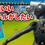 【成功】アイシーグラップラーを使って「インスタ映え」がしたい回【フォートナイト/Fortnite】