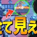 方角までわかる「サウンドエフェクト視覚化」が便利すぎました！【フォートナイト/Fortnite】