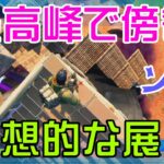 【Fortnite】最高峰で高みの見物ができたソロ攻略/マイクなし/バトルロイヤル/Battle Royale/Solo/PS4【フォートナイト】