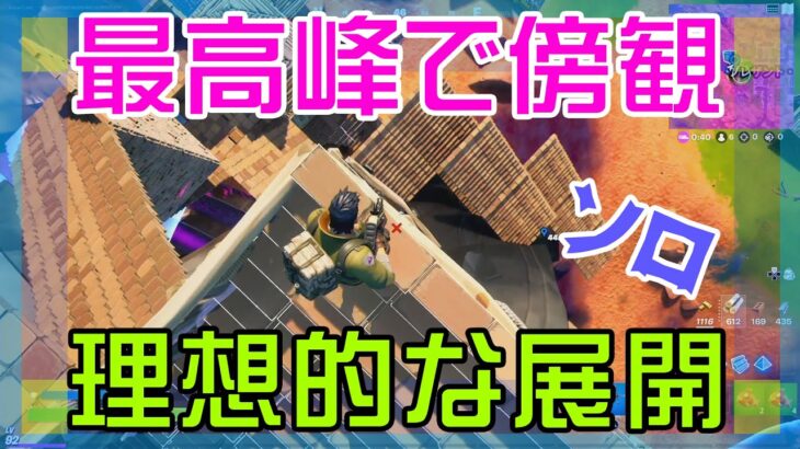 【Fortnite】最高峰で高みの見物ができたソロ攻略/マイクなし/バトルロイヤル/Battle Royale/Solo/PS4【フォートナイト】