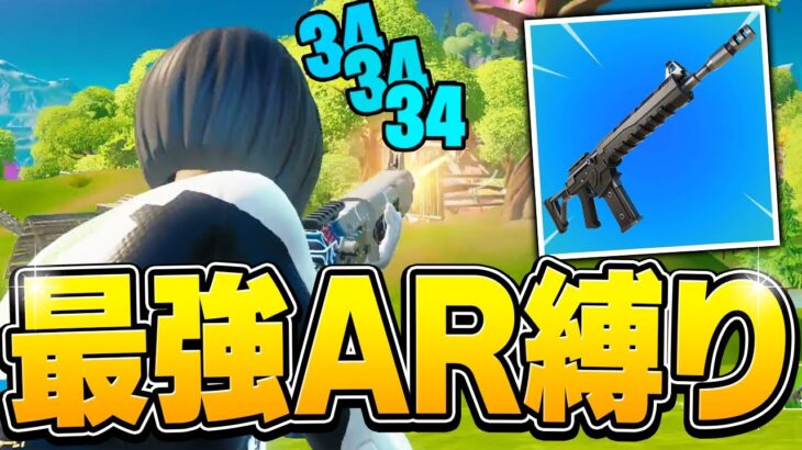 メイド服で「コンバットアサルト」を使いこなし、ゴリゴリ敵のHPを削っていく男【フォートナイト/Fortnite】