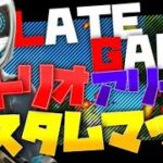 ストームサージ　ソロ、トリオアリーナLATE　GAME カスタム　初見さん大歓迎！     　　全機種参加可能！　フォートナイトLIVE