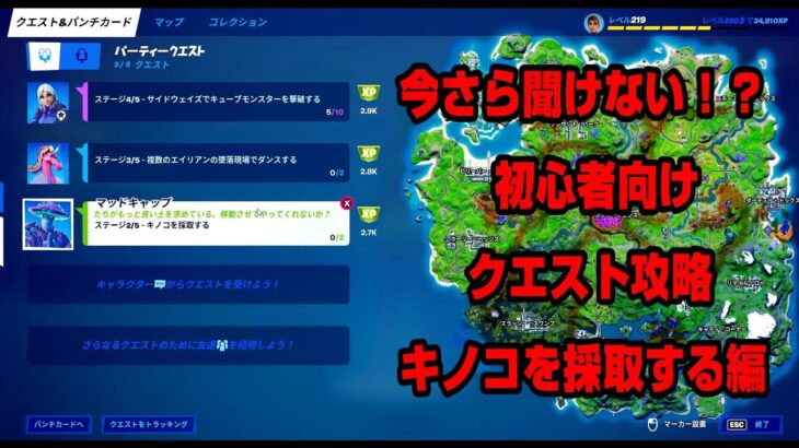 フォートナイト　クエスト　攻略　キノコを採取する