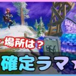 ラマ確定湧き！？場所・攻略法は★【チャプター3】【フォートナイト】