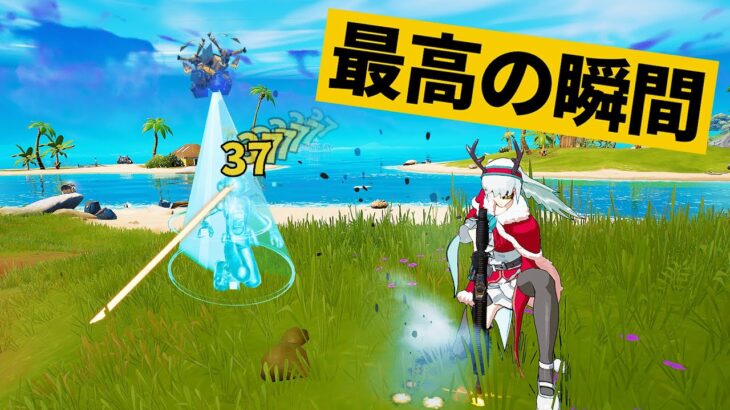 【最高の瞬間30選】死体撃ちと見せかけてチーターな奴ｗ神業面白プレイ最高の瞬間！【Fortnite/フォートナイト】