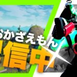 今年最後の配信！！ソロ[手元配信][フォートナイト／Fortnite]