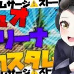 【大会用配信】　連続ビクロイでアマギフ、ギフト確定！！　　 ストームサージ  　　 　　ソロ、 デュオアリーナ　ストームサージ　初見さん大歓迎！    　フォートナイトLIVE