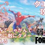 【クエスト攻略】高い茂みでしゃがんで45秒以内に敵にダメージを与える【フォートナイト/Fortnite】