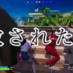 【フォートナイト/Fortnite】雑談diary #257(デュオ)「赦された？」