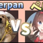 【フォートナイト 大会】ぺぽ VS Peterpan ソロキャッシュカップでの一戦！！